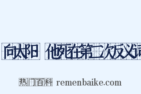 向太阳·他死在第二次反义词是什么意思的图片